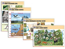 Комплект таблиц по биологии демонстрационных "Общая биология 2" (14 таблиц, формат А1, ламинированные) - fgospostavki.ru - Киров