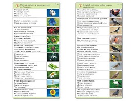 Комплект карточек (10) "Обучающий калейдоскоп. Природа" - fgospostavki.ru - Киров
