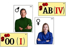 Модель-аппликация "Генетика групп крови" (ламинированная) - fgospostavki.ru - Киров