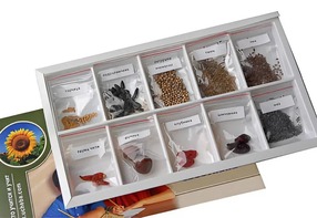 Коллекция "Плоды сельскохозяйственных растений" - fgospostavki.ru - Киров