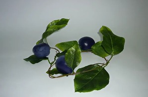 Ветка муляжей "Слива" - fgospostavki.ru - Киров