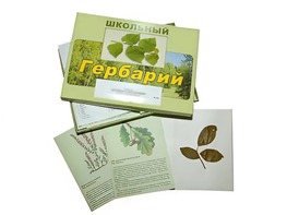 Гербарий "Дикорастущие растения" (30 видов, с иллюстрациями) - fgospostavki.ru - Киров