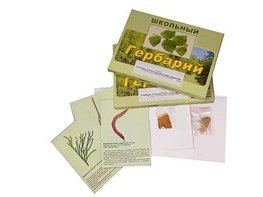 Гербарий "Основные группы растений. Грибы. Лишайники" (53 листа, с иллюстрациями и фотографиями) - fgospostavki.ru - Киров