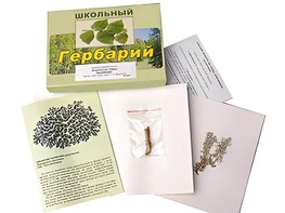 Гербарий "Водоросли. Грибы. Лишайники" (раздаточный) - fgospostavki.ru - Киров
