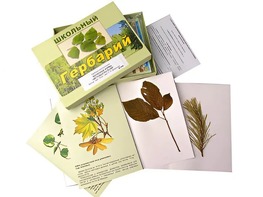 Гербарий "Жизненные формы цветковых растений" (раздаточный) - fgospostavki.ru - Киров