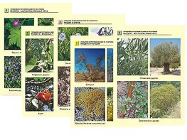 Гербарий фотографический по географии - fgospostavki.ru - Киров