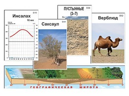 Модель-аппликация "Природные зоны" - fgospostavki.ru - Киров