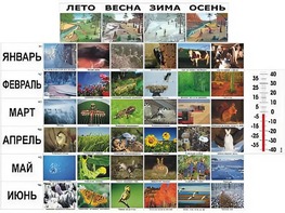 Фенологические наблюдения - fgospostavki.ru - Киров