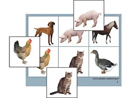Логопедическое лото "Домашние животные" (4 планшета, 24 карточки, цветное, ламинированное) - fgospostavki.ru - Киров