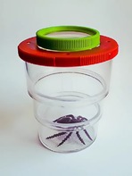 Коробка для изучения насекомых (с лупой) - fgospostavki.ru - Киров