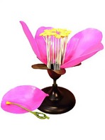 Модель цветка яблони - fgospostavki.ru - Киров