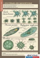 Комплект таблиц. Биология 7 класс. Животные. - fgospostavki.ru - Киров