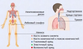 Интерактивные курсы. Биология 9 класс. Базовый. - fgospostavki.ru - Киров