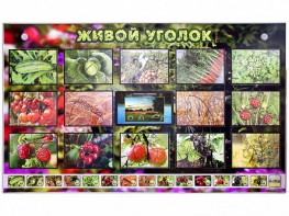 Комплект оборудования "Живой уголок" (растения) с тифлопереводом и сурдокомментариями - fgospostavki.ru - Киров