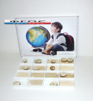 Коллекция "Древесные породы" - fgospostavki.ru - Киров