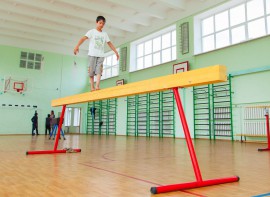 Бревно гимнастическое напольное постоянной высоты (700 мм) (5 м) - fgospostavki.ru - Киров