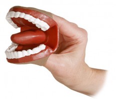 Муляж артикуляционного аппарата - fgospostavki.ru - Киров