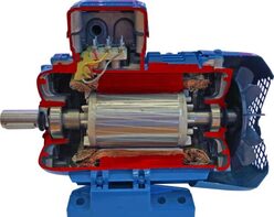 Учебная модель «Электродвигатель асинхронный в разрезе» - fgospostavki.ru - Киров