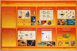 Электрифицированный стенд «Эпизоотология сельскохозяйственных животных» - fgospostavki.ru - Киров