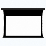 Экран настенный с электроприводом DSTPX-16918 - fgospostavki.ru - Киров