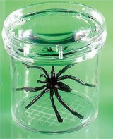 Баночка для изучения насекомых GeoSafari - fgospostavki.ru - Киров