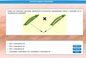 Интерактивные курсы. Биология 11 класс. Базовый. - fgospostavki.ru - Киров