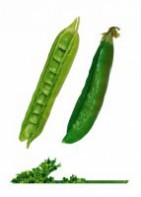 Комплект карточек "Запоминай, играй, считай" - Овощи - fgospostavki.ru - Киров