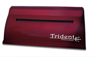 Принтер для печати рельефно-точечным шрифтом Брайля Trident - fgospostavki.ru - Киров