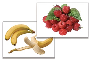 Дидактическое пособие "Фрукты, ягоды, орехи" (24 карточки) - fgospostavki.ru - Киров