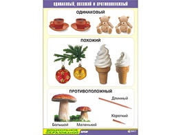 Таблица демонстрационная "Одинаковый, похожий и противоположный" (винил 70x100) - fgospostavki.ru - Киров