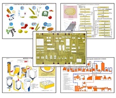 Плакаты ПРОФТЕХ "Сырье и материалы хлебопекарного производства" (20 пл, винил, 70х100) - fgospostavki.ru - Киров