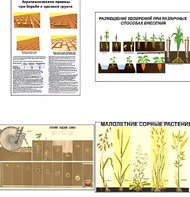Плакаты ПРОФТЕХ "Агрономия" (5 пл, винил, 70х100) - fgospostavki.ru - Киров