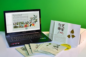 Гербарий натурально-интерактивный "Деревья и кустарники" - fgospostavki.ru - Киров