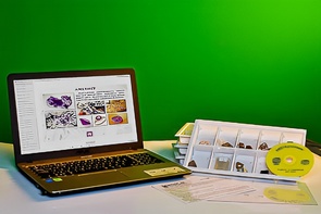 Коллекция натурально-интерактивная "Кварц в природе" - fgospostavki.ru - Киров