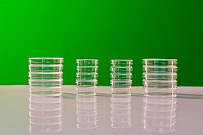 Набор чашек Петри - fgospostavki.ru - Киров