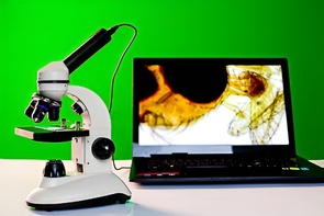 Микроскоп школьный с цифровой камерой - fgospostavki.ru - Киров