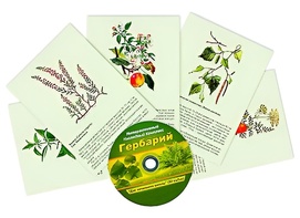 Интерактивный наглядный комплекс "Гербарий "Для начальной школы" - fgospostavki.ru - Киров