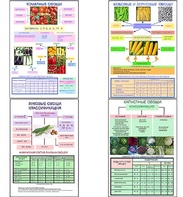 Плакаты ПРОФТЕХ "Классификация овощей" (11 пл, винил, 70х100) - fgospostavki.ru - Киров