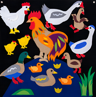 Пособие для слабовидящих детей «Домашние птицы» - fgospostavki.ru - Киров