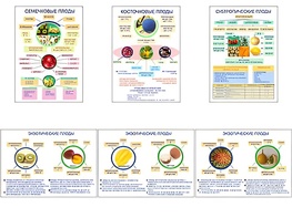 Плакаты ПРОФТЕХ "Плоды" (6 пл, винил, 70х100) - fgospostavki.ru - Киров