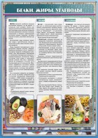 Стенд "Белки. Жиры. Углеводы" - fgospostavki.ru - Киров