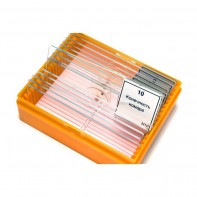 Набор готовых микропрепаратов (зоология) - fgospostavki.ru - Киров