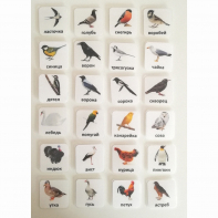 Набор карточек "ПТИЦЫ" - fgospostavki.ru - Киров