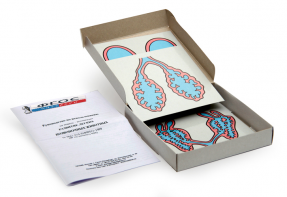 Модель-аппликация "Развитие легких позвоночных животных" (набор из 5 карт) - fgospostavki.ru - Киров