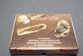 Коллекция "Формы сохранности ископаемых растений и животных" - fgospostavki.ru - Киров