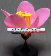 Модель "Цветок персика" - fgospostavki.ru - Киров