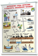 Плакаты по общей экологии для оформления кабинета. - fgospostavki.ru - Киров