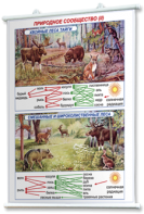 Плакаты по географии России для оформления кабинета. - fgospostavki.ru - Киров