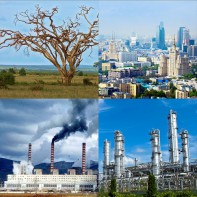 Модель-аппликация Биосфера и человек - fgospostavki.ru - Киров