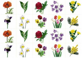 Комплект карточек "Запоминай, играй, считай" - Цветы - fgospostavki.ru - Киров